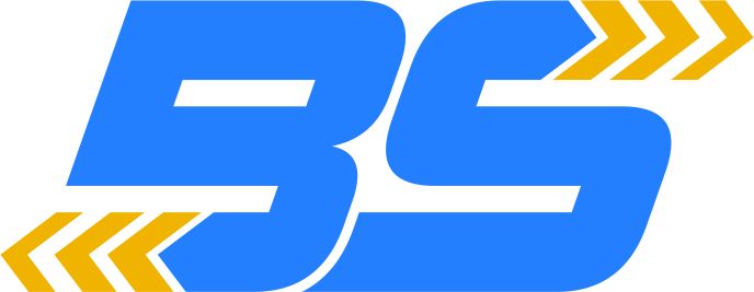 LLC BS