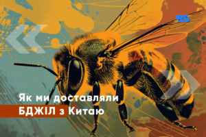 логістика бджоли з китаю