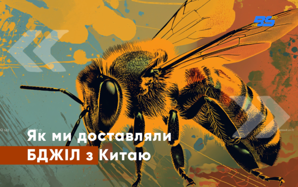 логістика бджоли з китаю